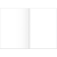 Ursus Staufen Style Zeichenpapier A3 auf A4 250 Blatt 80 g/m² Blanko Gefalzt 250 Stück