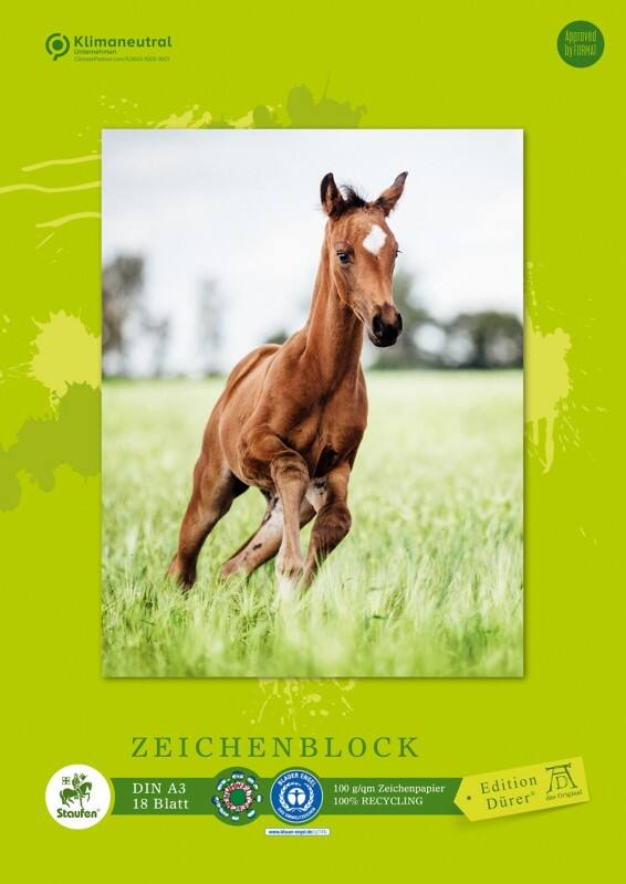 Carnet millimétré Staufen Dürer Green A3 18 feuilles 100 g/m² 4 motifs