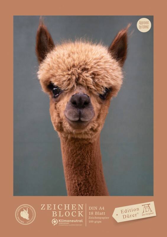 Carnet millimétré Staufen Dürer A4 18 feuilles 100 g/m² 4 motifs