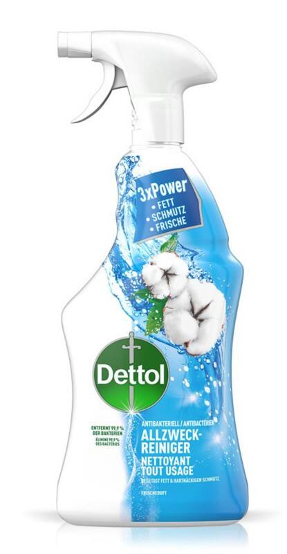 Nettoyant multi-usage Dettol Spray 3179118 Fraîcheur 12 Unités de 750 ml