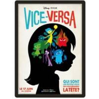 Djois Magneto A2 Inforahmen Selbstklebend Schwarz Haftend PVC 192957 46,2 (B) x 0,2 (T) x 63,6 (H) cm