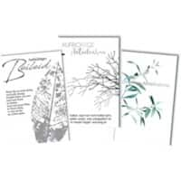 Cartes de condoléances Braun & Company Assortiment 230 g/m² 5939-0042 3 unités