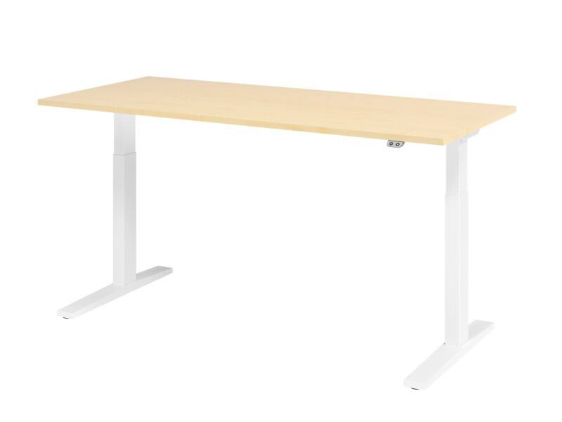 Bureau assis-debout Hammerbacher VXMKA Hauteur ajustable électriquement Érable C-Pied 1800 (L) x 800 (P) x 1200 (H) mm Acier, Aggloméré
