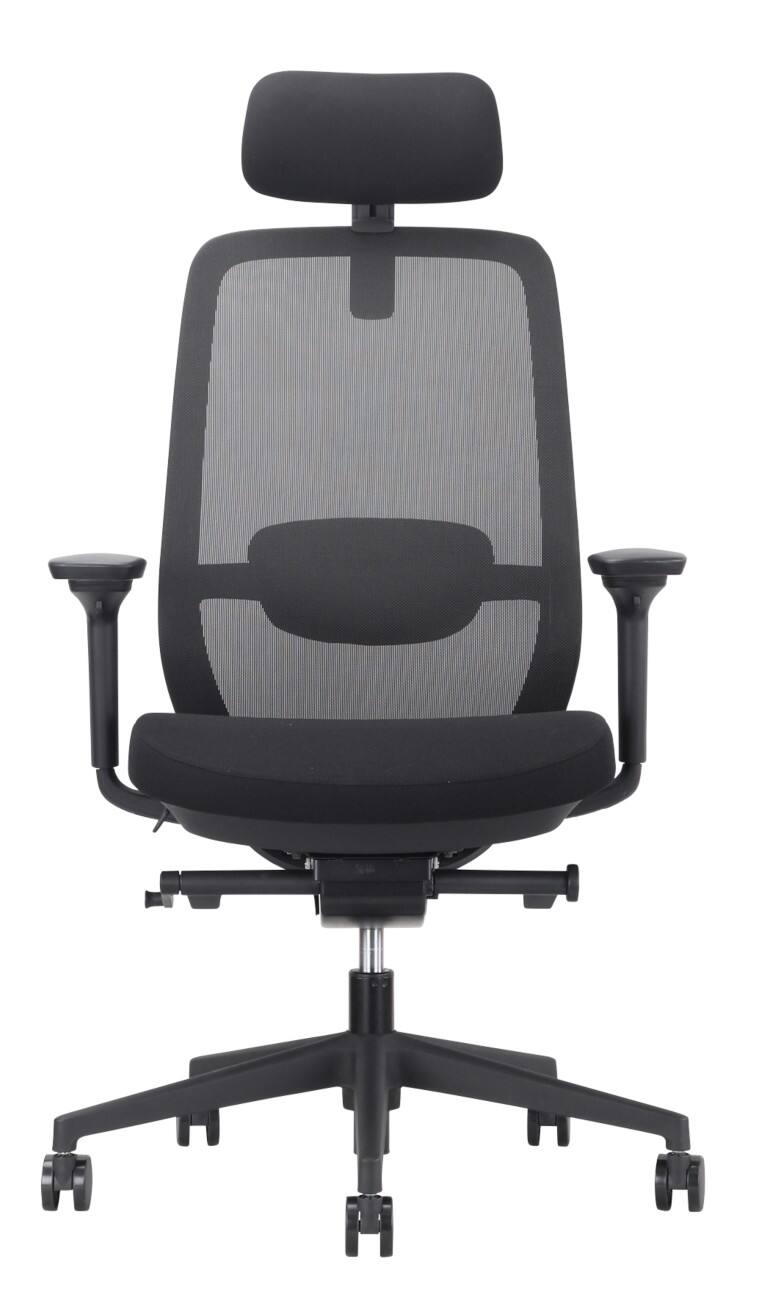 Nowy Styl ELOVIE Ergonomischer Stuhl Synchronneigung 4D-Armlehnen Höhenverstellbare Sitzfläche Schwarz 110 kg 640 mm x 1.145 mm