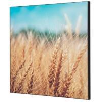 Cadre tissu SHOWDOWN Grain Field Multicolore Aluminium