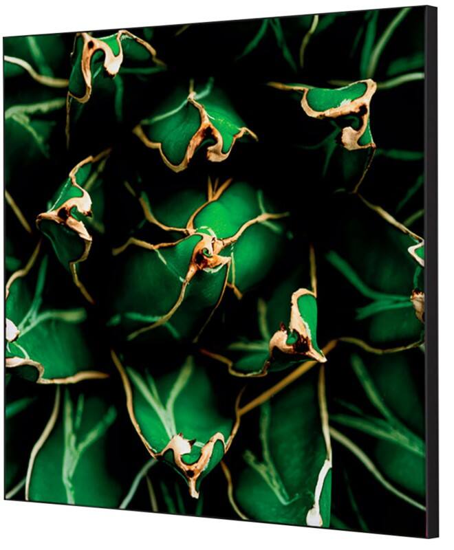 SHOWDOWN Textile Wanddekoration Kaktus Mehrfarbig Aluminium