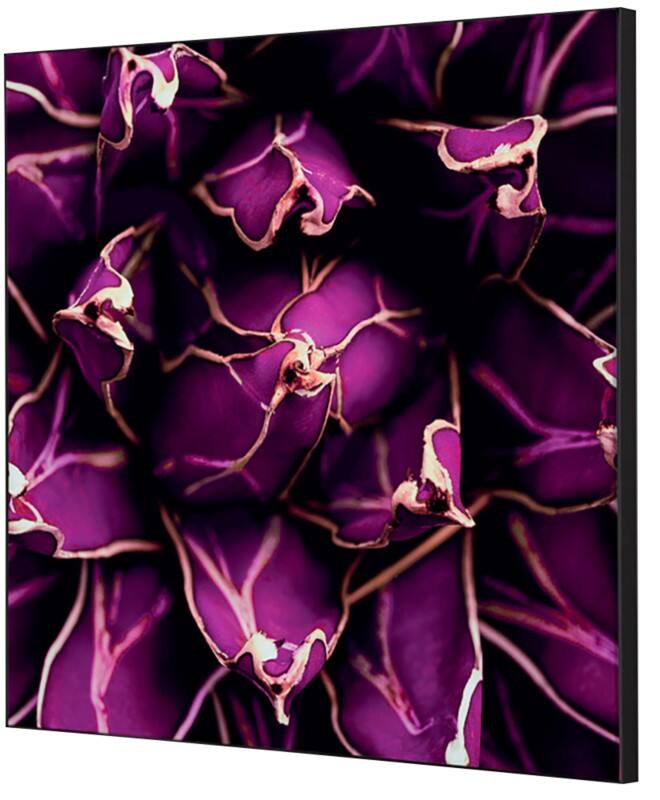 Cadre tissu SHOWDOWN Cactus Multicolore Aluminium