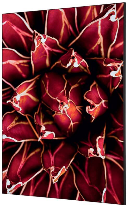 SHOWDOWN Textile Wanddekoration Kaktus Mehrfarbig Aluminium