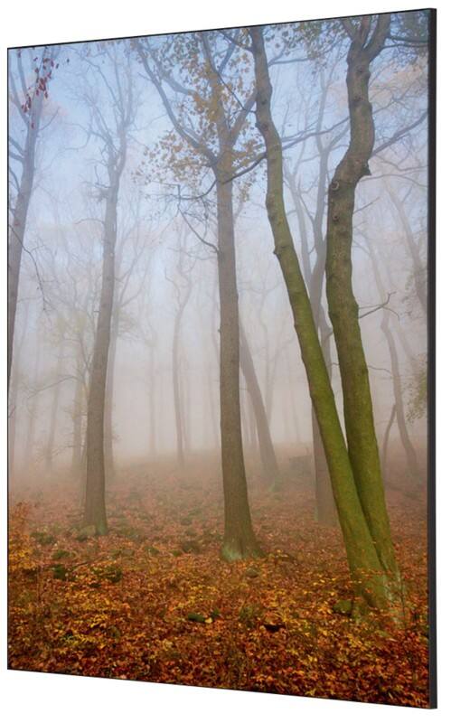 SHOWDOWN Textile Wanddekoration Herbstnebel Mehrfarbig Aluminium