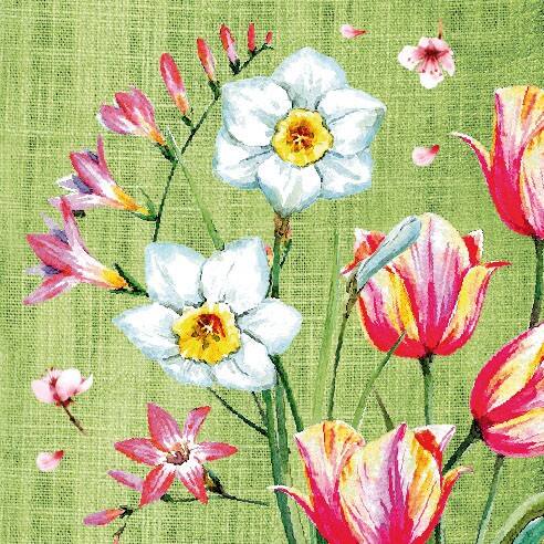 PAPSTAR Servietten Mehrfarbig 50 Stück