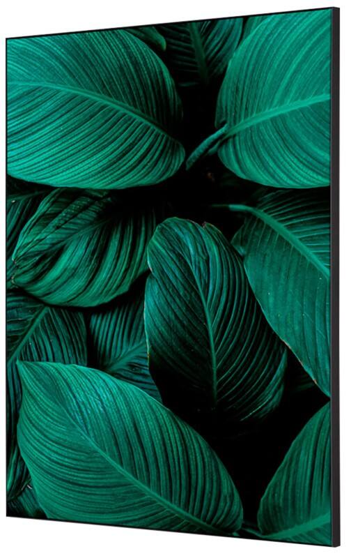 Cadre tissu SHOWDOWN Botanical Leaves Multicolore Aluminium