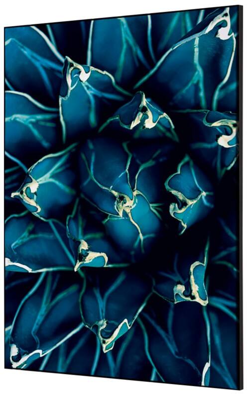 Cadre tissu SHOWDOWN Cactus Multicolore Aluminium