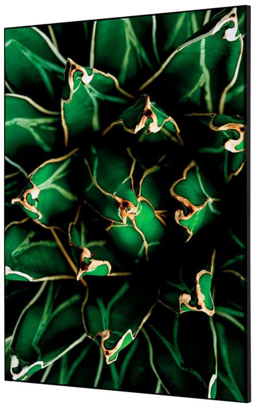 Cadre tissu SHOWDOWN Cactus Multicolore Aluminium