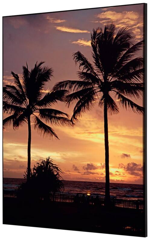 Cadre tissu SHOWDOWN Palmtrees Sunset Multicolore Aluminium