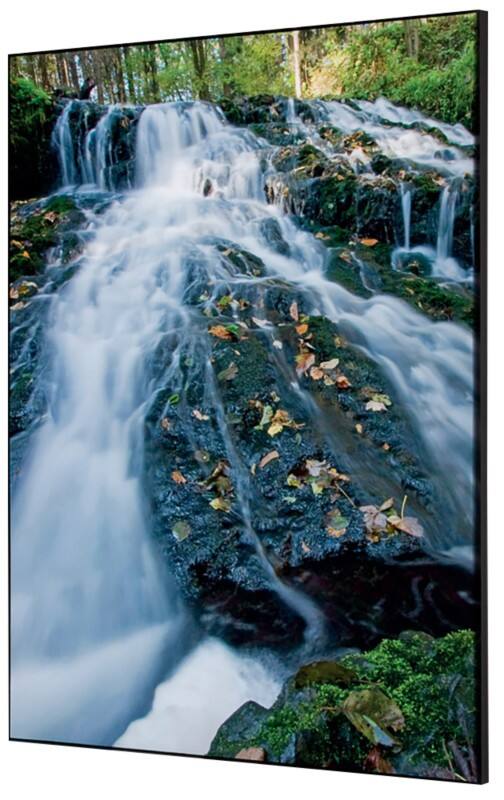 Cadre tissu SHOWDOWN Waterspring Forest Multicolore Aluminium