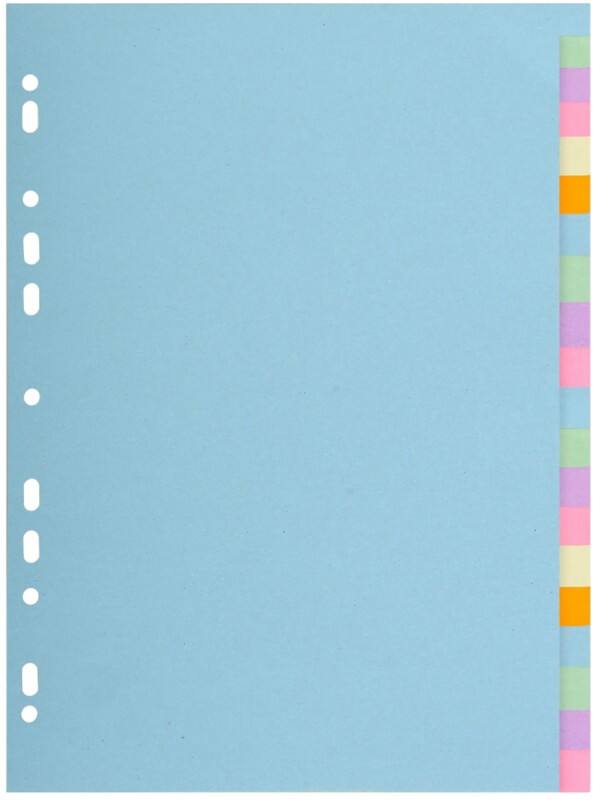 Intercalaires vierges Exacompta Forever Assortiment 20 intercalaires 170 g/m² Carton 2620E