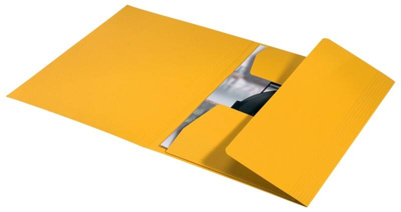 Chemise à 3 rabats Leitz Recycle 3906 A4 CO² compensé Jaune Carton 100 % recyclé