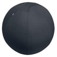 Ballon d'assise antibasculement Leitz Ergo Active 6543 Poignée de transport Lavable 75 cm Jusqu'à 150 kg Gris foncé