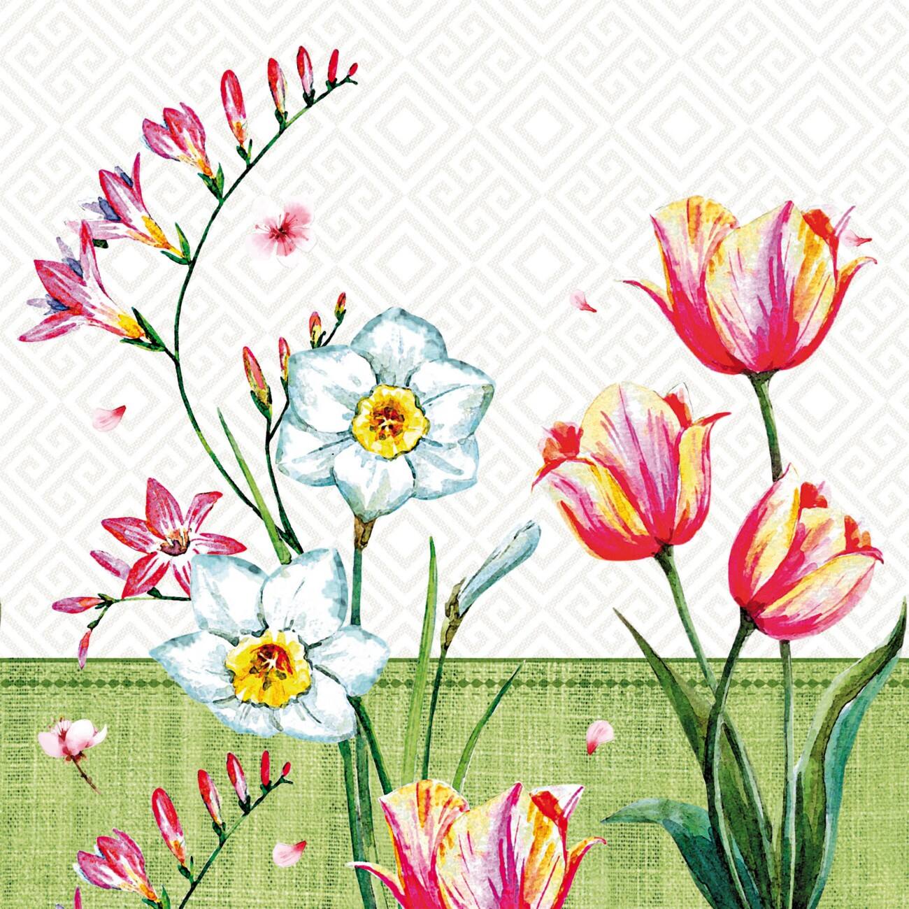 PAPSTAR Servietten Papier Grün 33 x 33 cm 100 Stück