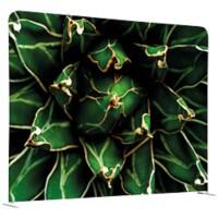 Cloison de séparation SHOWDOWN EU Aluminium Vert 1500 x 450 x 1500 mm