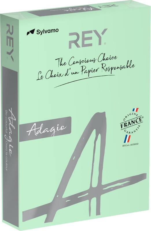 Papier couleur Rey Adagio A4 Vert pastel 160 g/m² 250 feuilles