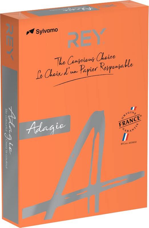 Rey Adagio DIN A4 Farbiges Papier Orange 160 g/m² 250 Blatt