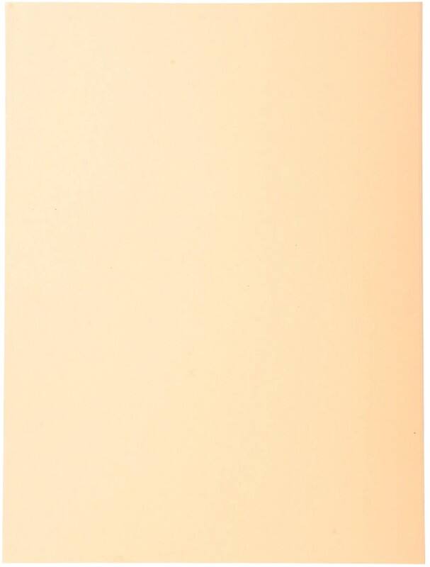 Exacompta Forever Ordnungsmappe DIN A4 Cremefarben Manila Recycelt 100% 170 g/m² 100 Stück