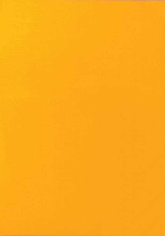 Multifunktionsetiketten Neonorange Rechteckig 25 Etiketten pro Packung