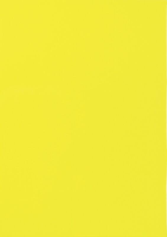 Multifunktionsetiketten Neongelb Rechteckig 25 Etiketten pro Packung