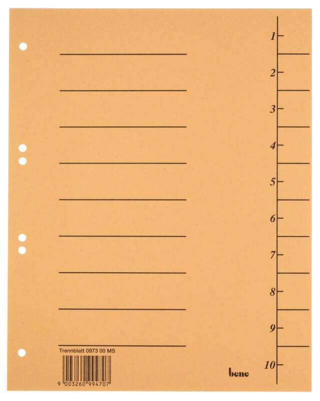 Bene 1 bis 10 Trennblätter DIN A4 Gelb 10-teilig Pappkarton 6 Löcher 97300MS 100 Stück