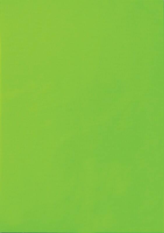 Étiquettes multifonctions VIK1008-GN Vert fluo Rectangulaire 25 étiquettes par paquet