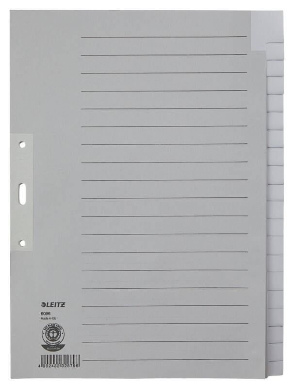 Intercalaires Leitz Vierge A4 extra large Gris 20 intercalaires Carton 3 Perforations 60960085