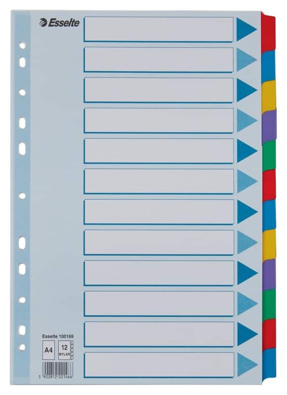 Intercalaires Esselte Vierge A4 Assortiment 12 intercalaires Carton 11 Perforations 100169
