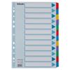 Esselte Blanko Register DIN A4 Farbig Sortiert 12-teilig Pappkarton 11 Löcher 100169