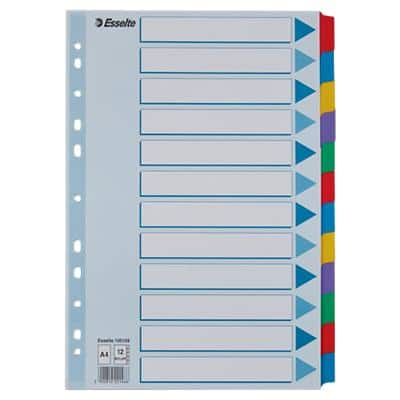 Esselte Blanko Register DIN A4 Farbig Sortiert 12-teilig Pappkarton 11 Löcher 100169