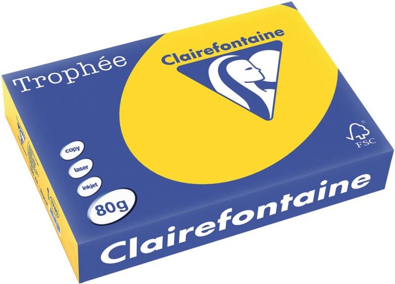 Papier couleur Clairefontaine A4 Jaune 80 g/m² Mat 500 Feuilles
