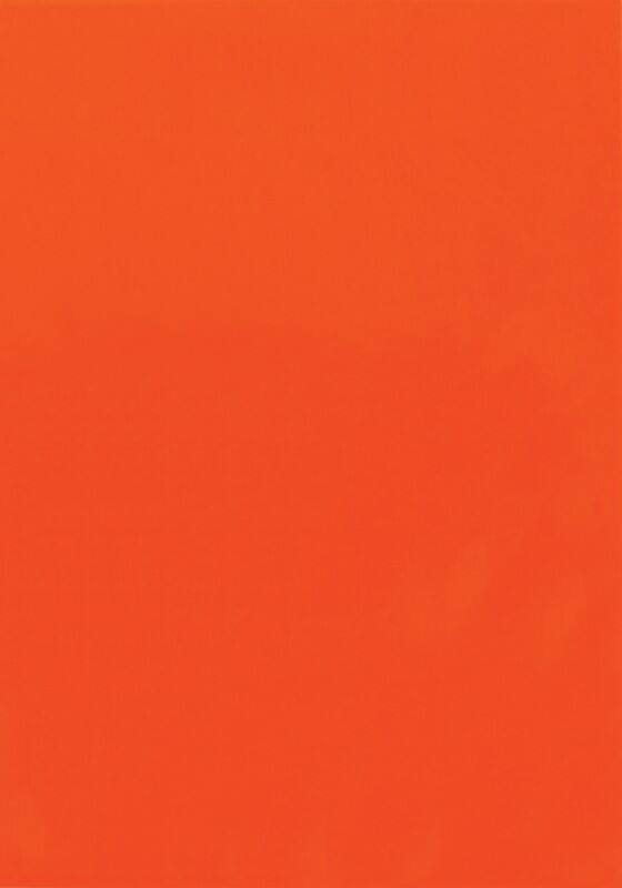 Étiquettes multifonctions VIK-540-RT Rouge fluo Rectangulaire 25 étiquettes par paquet