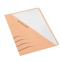 Farde Djois Secolor A4 Beige Carton 22 x 22 x 31 cm