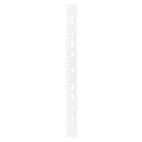 Bandes de classement GBC A4 PVC 250 gsm Transparent 100 Unités