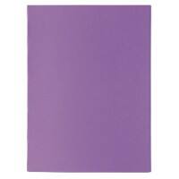 Sous-fardes Exacompta A4 Violet 170 g/m² Papier 100 Unités