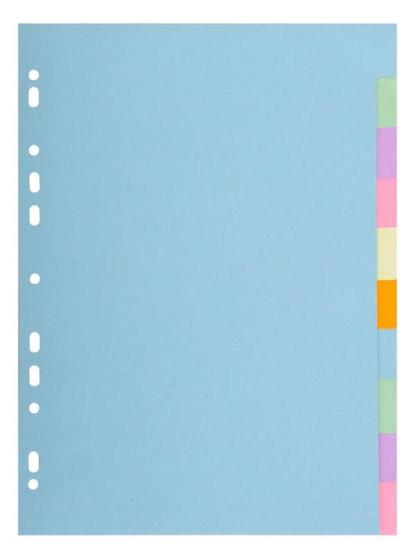 Intercalaires vierges Vierge Exacompta 100% Recyclé A4 Assortiment 10 intercalaires Carton 11 Perforations 1610E