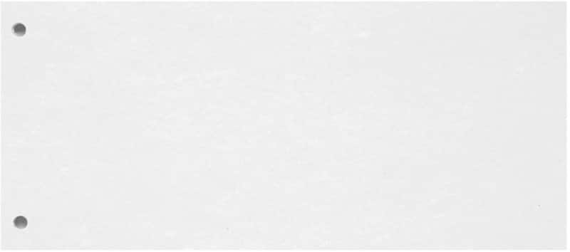 Biella Trennstreifen Spezial Weiß Manilakarton 0199190.01 100 Stück