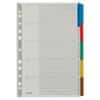 Leitz Blanko Register DIN A4 Überbreite Grau Farbig Sortiert 5-teilig Pappkarton 11 Löcher 4320
