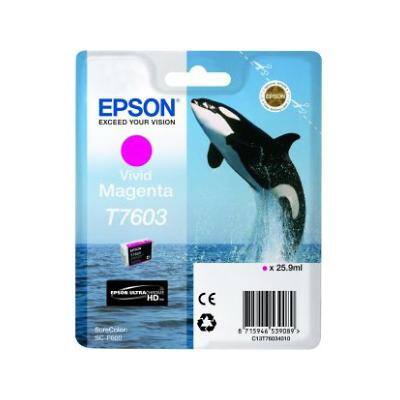 Epson T7603 Original Tintenpatrone C13T76034010 Magenta