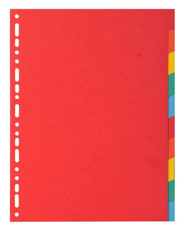 Exacompta Blanko Register 95% Recycelt A4 Farbig assortiert 10-teilig Pappkarton 18 Löcher 2010E